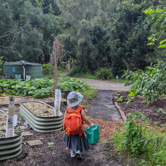 Wilkins Green Community Garden little gardener